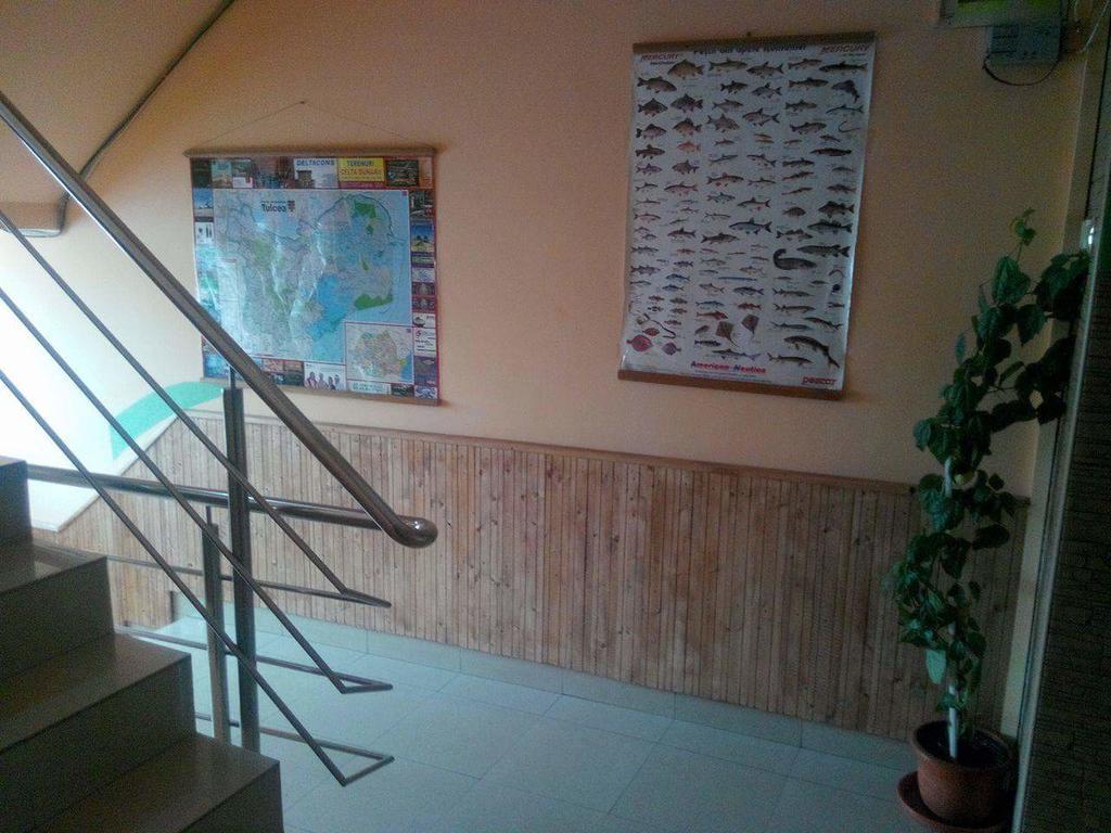 Pensiunea Nicol Tulcea Bagian luar foto