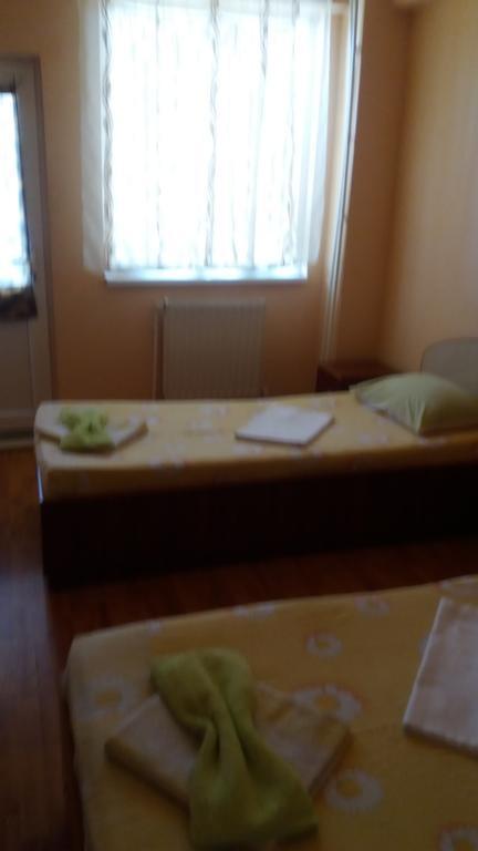 Pensiunea Nicol Tulcea Bagian luar foto