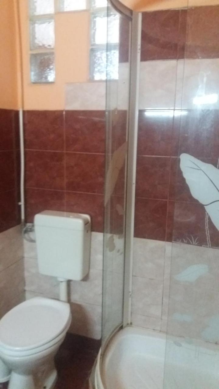 Pensiunea Nicol Tulcea Bagian luar foto